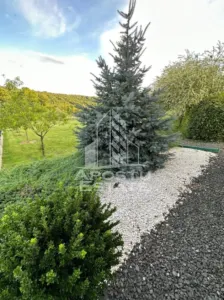 Casa de vacanta cu. teren 31.300  Nadas, 38 km de Timisoara. - foto 10