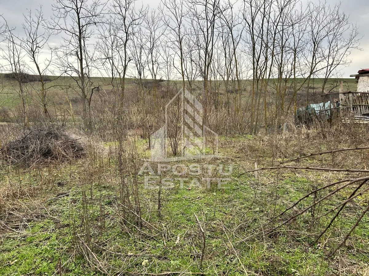 Teren 3920 mp, de vanzare, ideal casa de vacanta, Herneacova. - foto 5