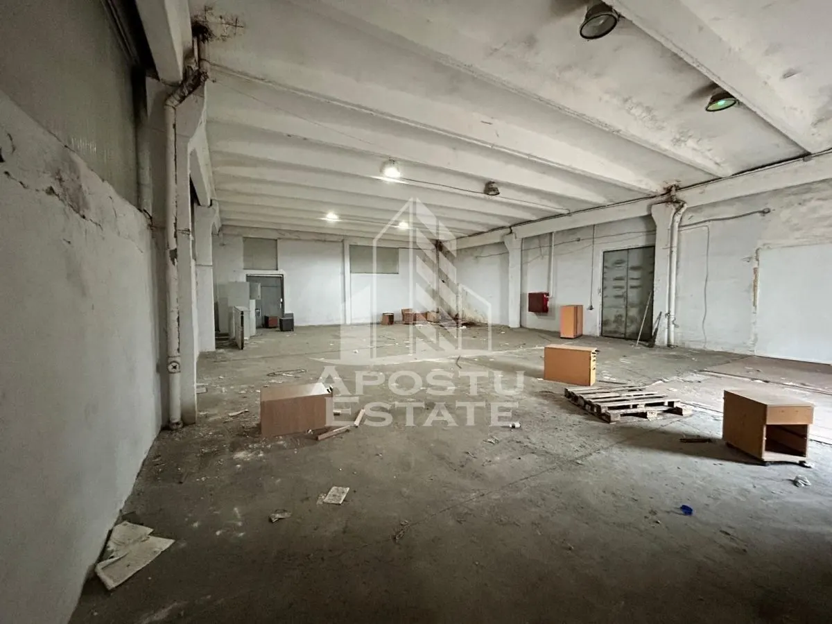 Hala 225 mp, ideala depozitare sau productie, Calea Sagului - foto 1