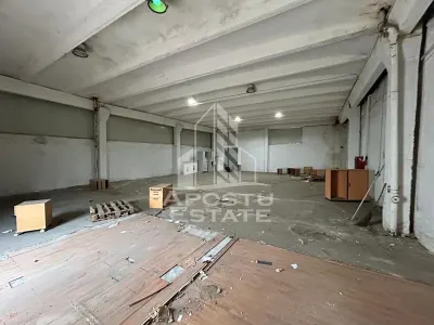 Hala 225 mp, ideala depozitare sau productie, Calea Sagului - foto 2