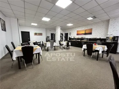 Pensiune 22 camere in functiune, de vanzare,  Central, Timisoara. - foto 2