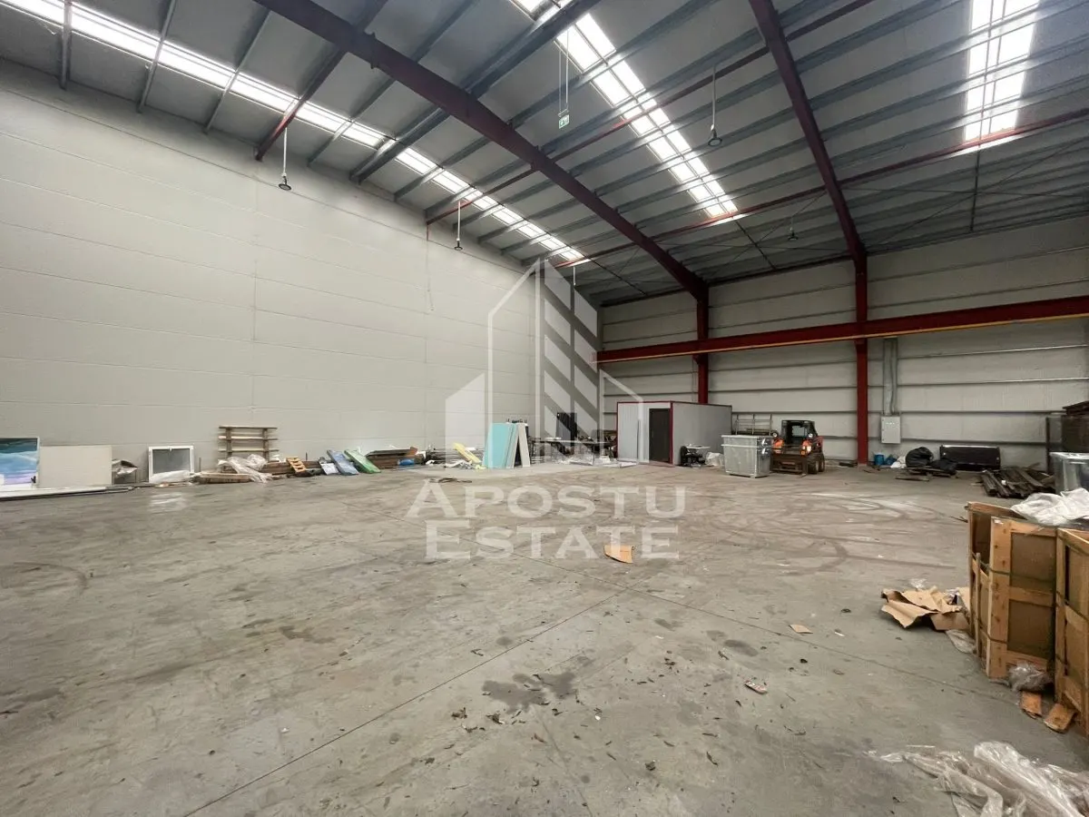Hala 600 mp constructie noua, de inchiriat,  Sacalaz - foto 1
