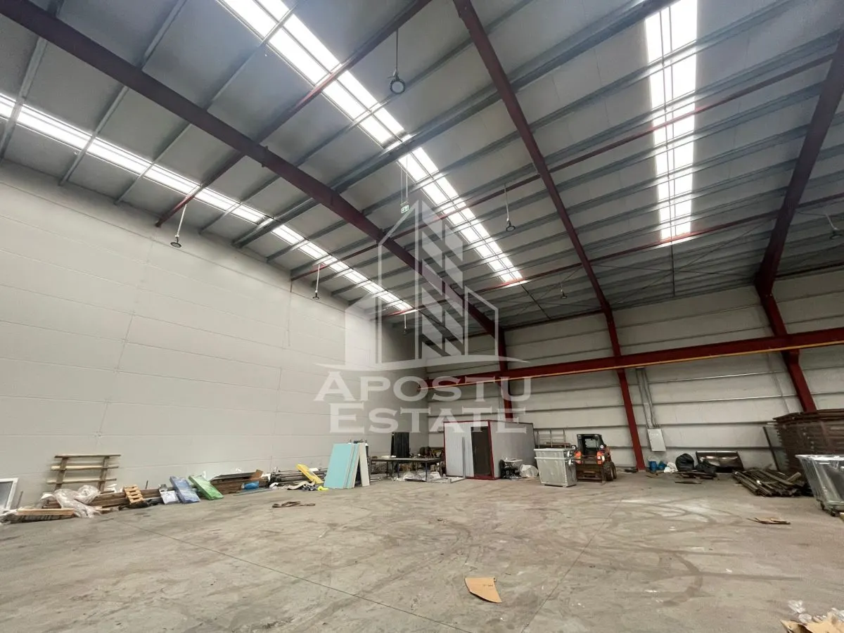 Hala 600 mp constructie noua, de inchiriat,  Sacalaz - foto 3