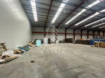 Hala 600 mp constructie noua, de inchiriat,  Sacalaz - foto 4