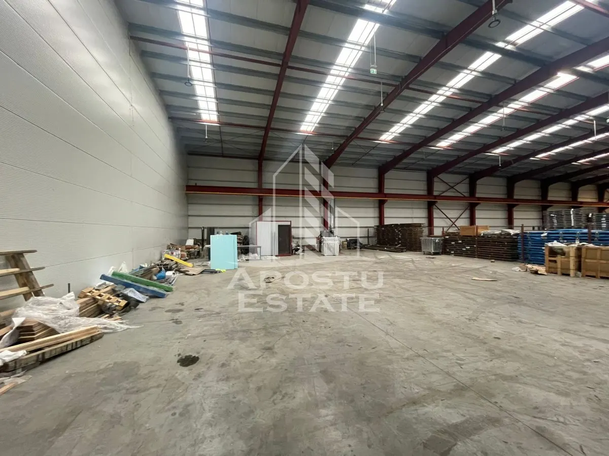 Hala 600 mp constructie noua, de inchiriat,  Sacalaz - foto 4