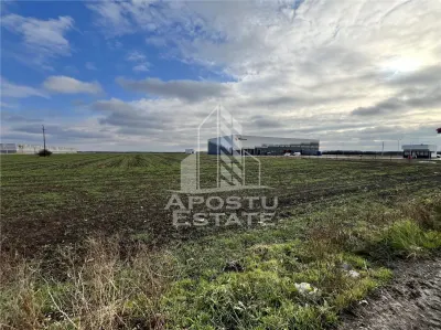 Teren de vanzare 30.400 mp, langa Continental si Hamilton. - Giarmata