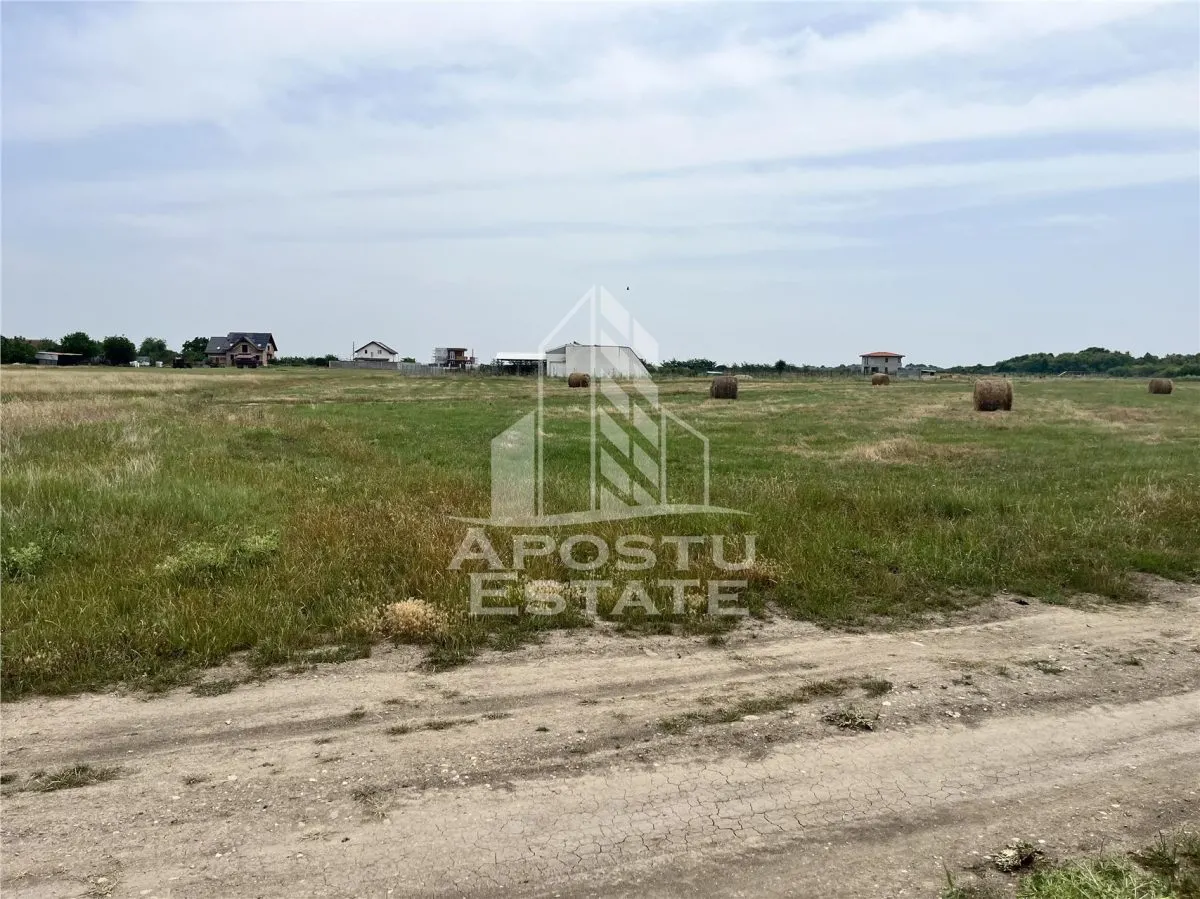 Teren intravilan pentru servicii 1518,  de vanzare,  Remetea  Mare. - foto 1