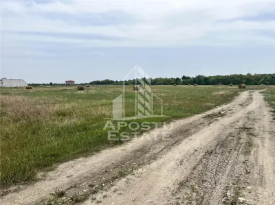 Teren intravilan pentru servicii 1518,  de vanzare,  Remetea  Mare. - foto 2