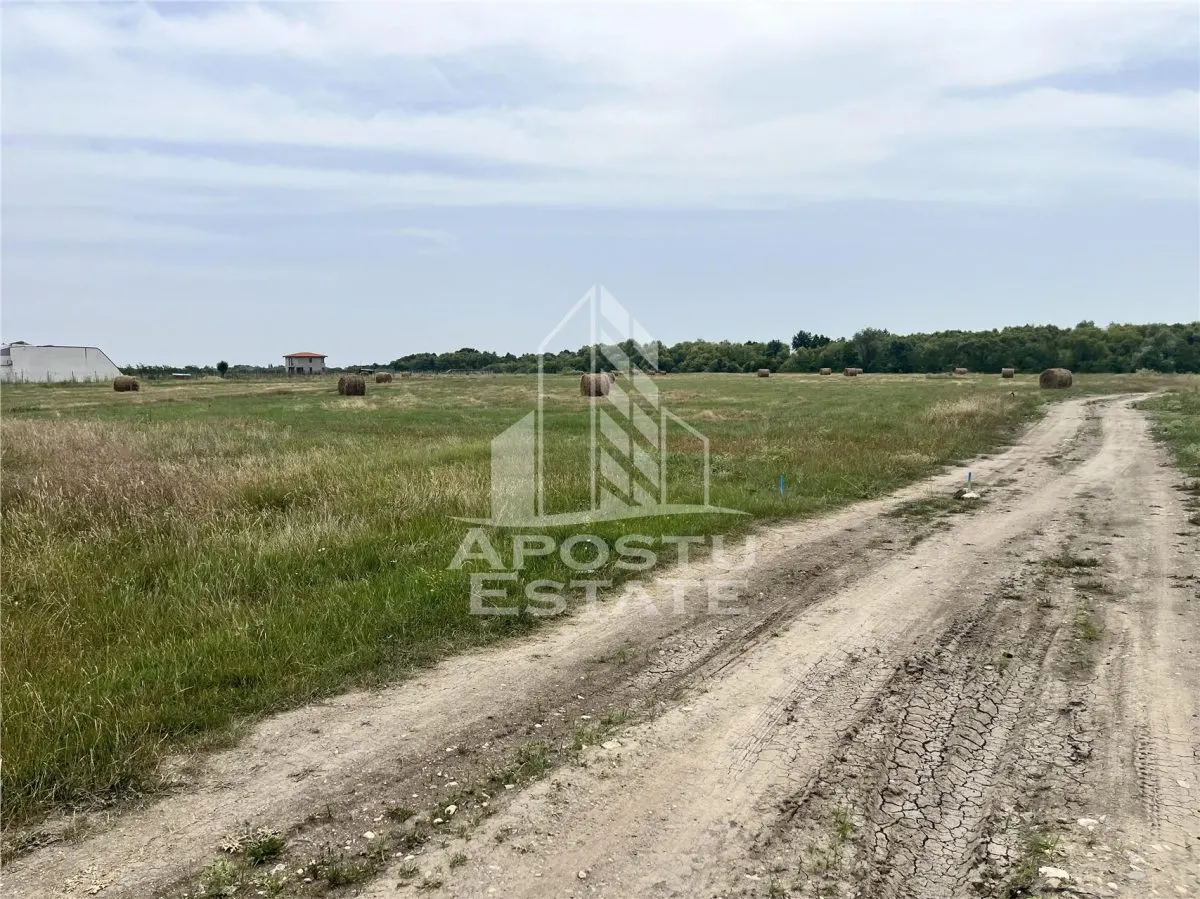 Teren intravilan pentru servicii 1518,  de vanzare,  Remetea  Mare. - foto 2