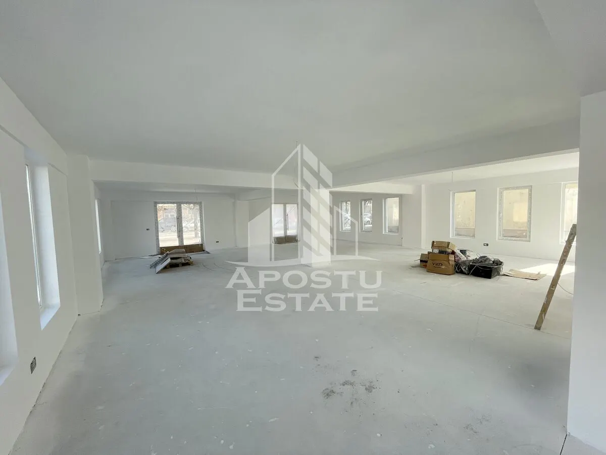 Spatiu comercial 238 mp, zona Lipovei , artera circulata - foto 1
