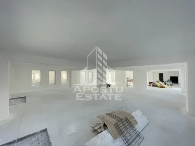 Spatiu comercial 238 mp, zona Lipovei , artera circulata - foto 2