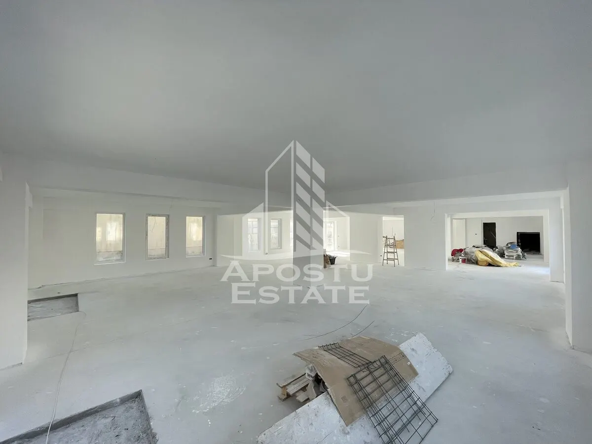 Spatiu comercial 238 mp, zona Lipovei , artera circulata - foto 2