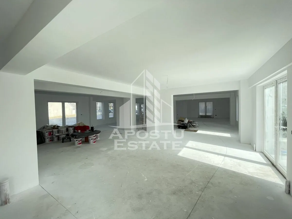 Spatiu comercial 238 mp, zona Lipovei , artera circulata - foto 3