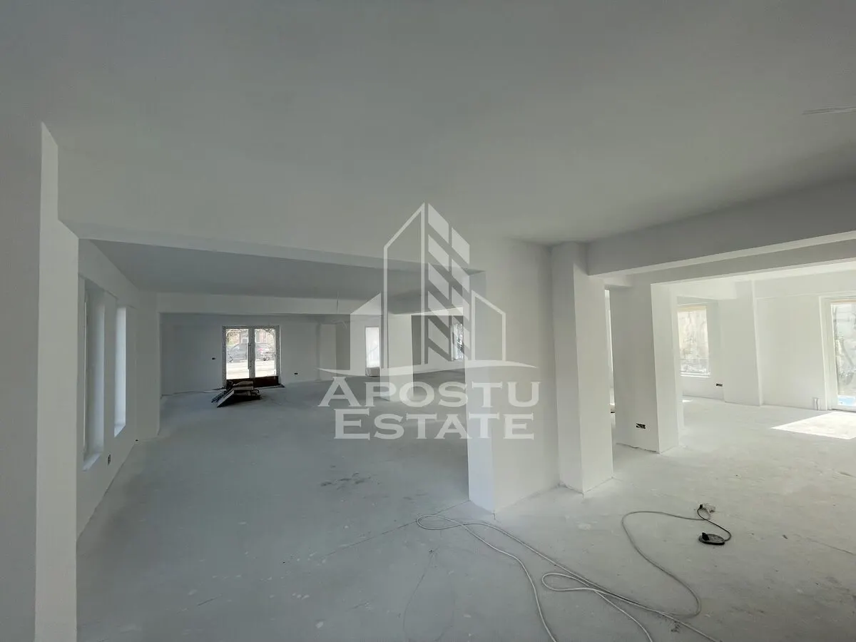 Spatiu comercial 238 mp, zona Lipovei , artera circulata - foto 4