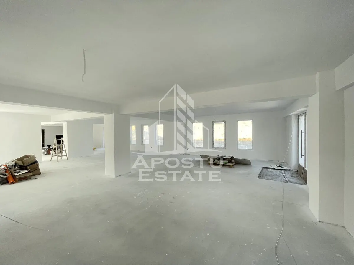 Spatiu comercial 238 mp, zona Lipovei , artera circulata - foto 5