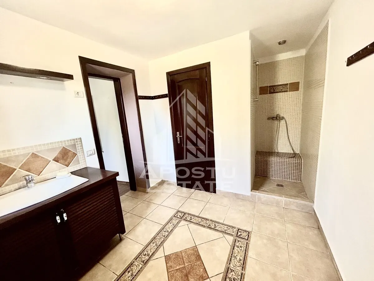 Casa cu 5 camere de inchiriat, curte proprie, Sanmihaiu Roman, Timis - foto 14