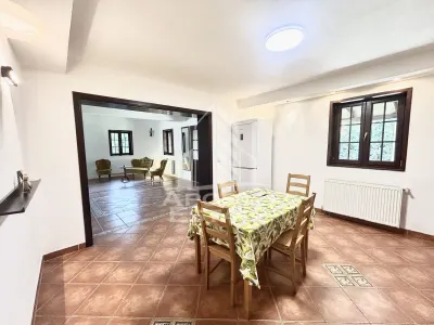 Casa cu 5 camere de inchiriat, curte proprie, Sanmihaiu Roman, Timis - foto 25