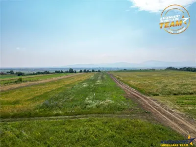 2 terenuri intravilane construibile aproape de Sfantu Gheorghe - foto 11