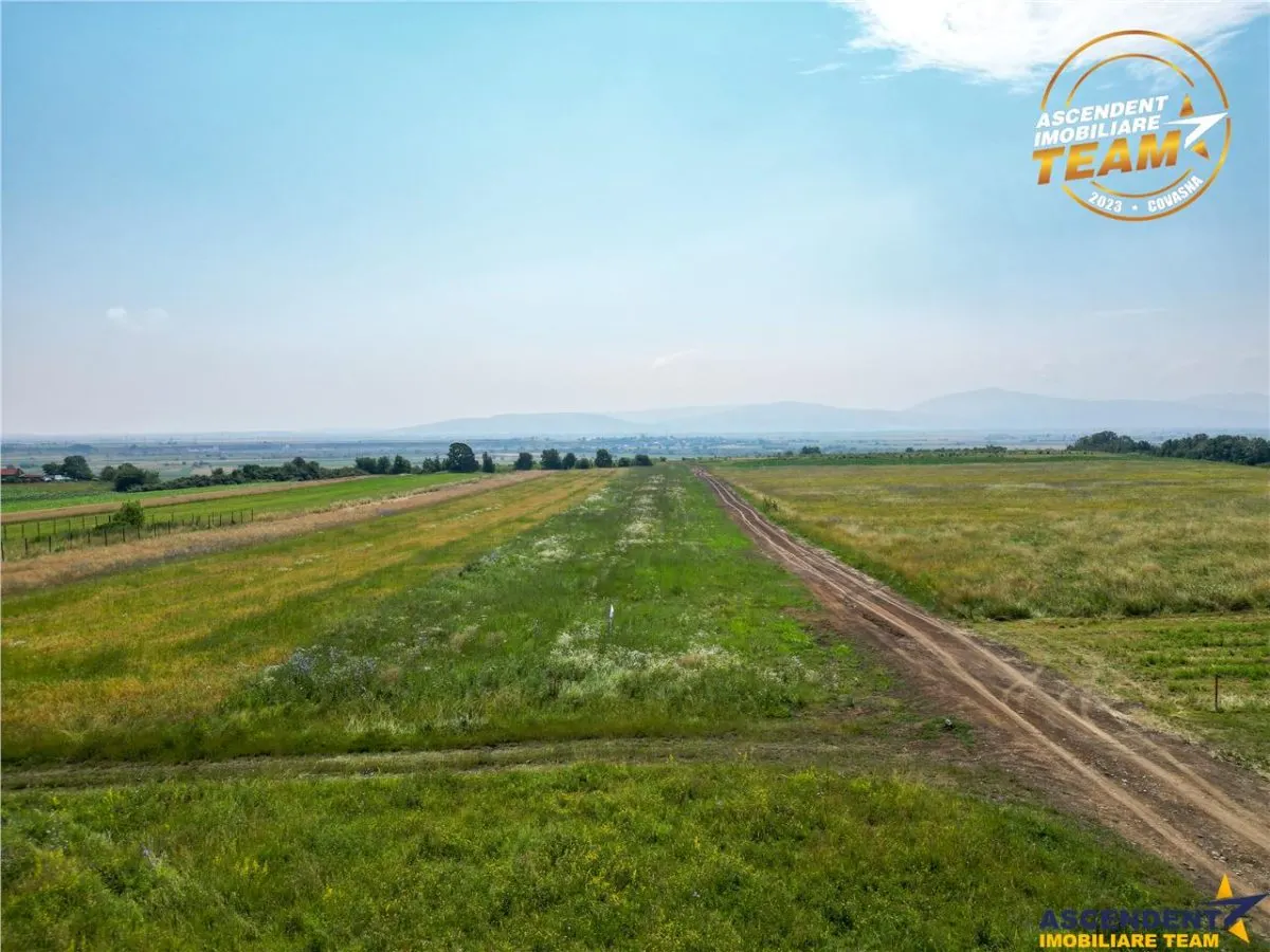 2 terenuri intravilane construibile aproape de Sfantu Gheorghe - foto 11