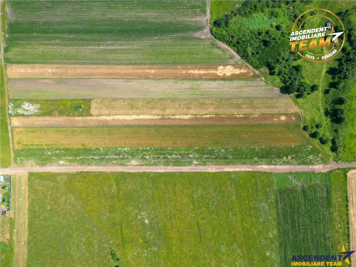 2 terenuri intravilane construibile aproape de Sfantu Gheorghe - foto 13