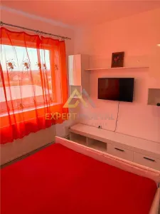 APARTAMENT MODERN CU 2 CAMERE IN SACALASENI LA DOAR 45.000 EURO - foto 9