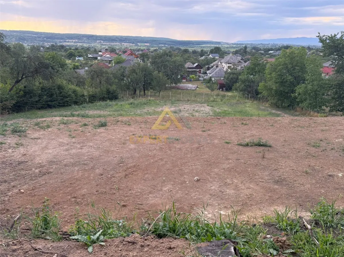 Teren generos 23 arii in Coas la doar 18.000 Euro - foto 2