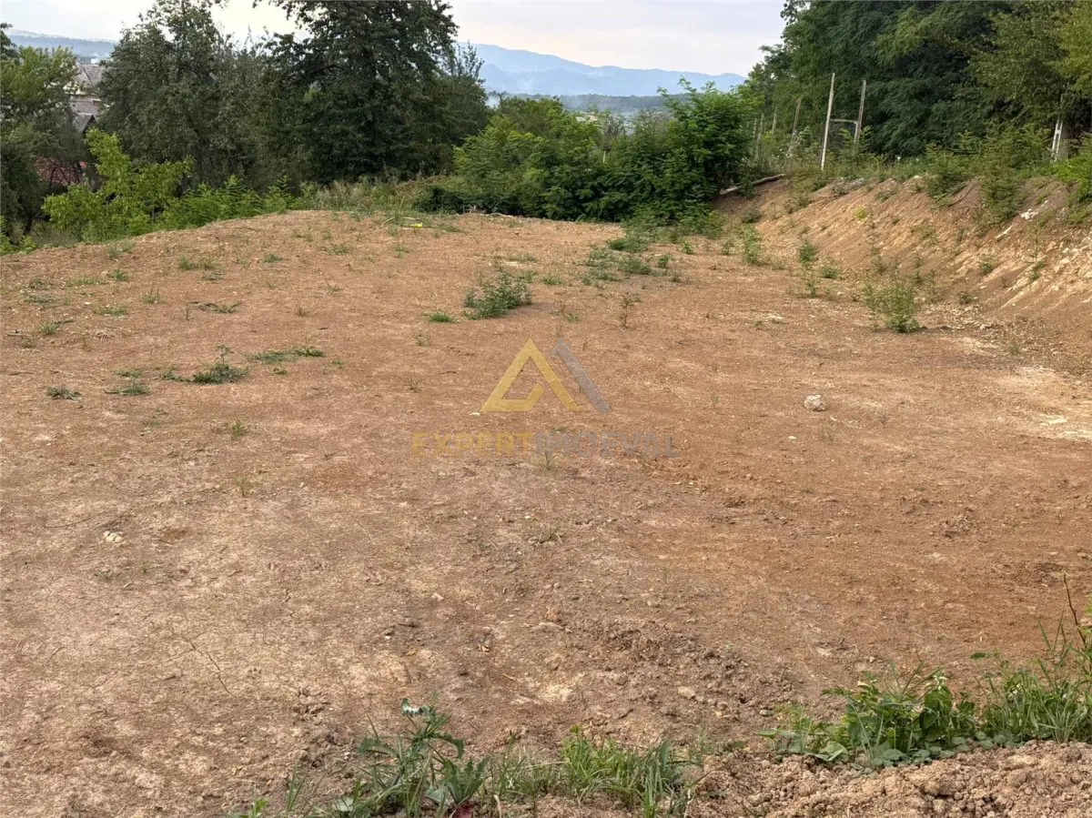 Teren generos 23 arii in Coas la doar 18.000 Euro - foto 3