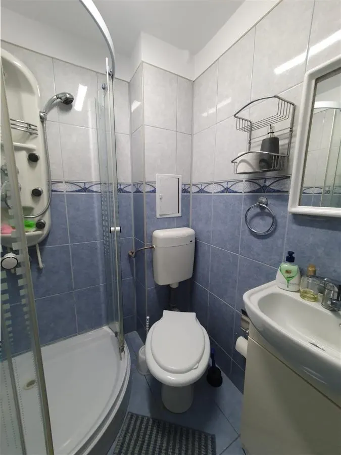 Decebal-Voronet, apartament tip studio, centrala proprie, mobilat-utilat, ideal investitie - foto 21