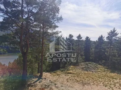 Teren intravilan, 2000mp, cu vedere panoramica spre lacul Valiug - foto 3