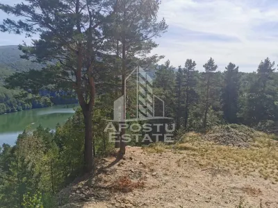 Teren intravilan, 2000mp, cu vedere panoramica spre lacul Valiug - foto 4