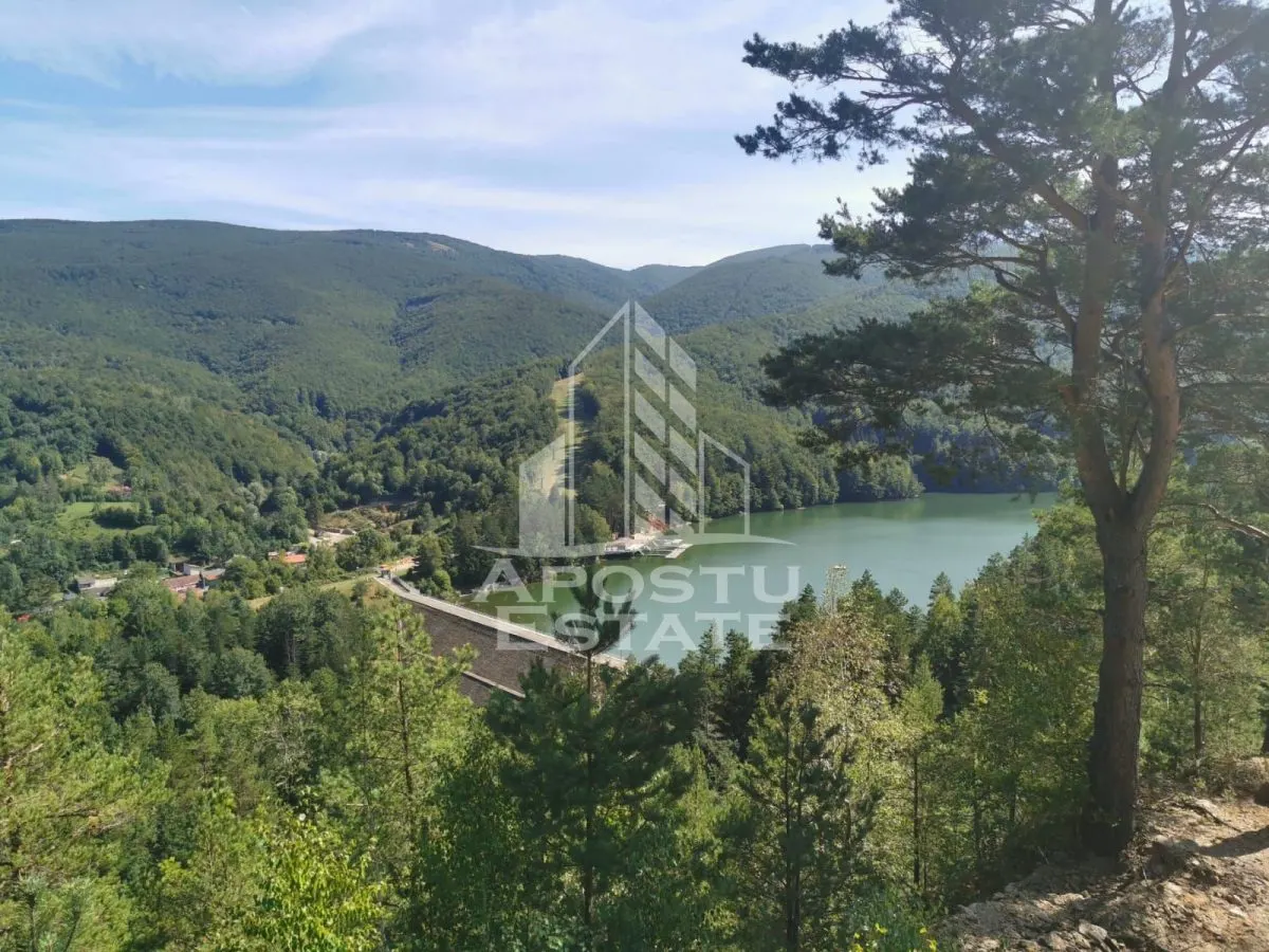 Teren intravilan, 2000mp, cu vedere panoramica spre lacul Valiug - foto 5