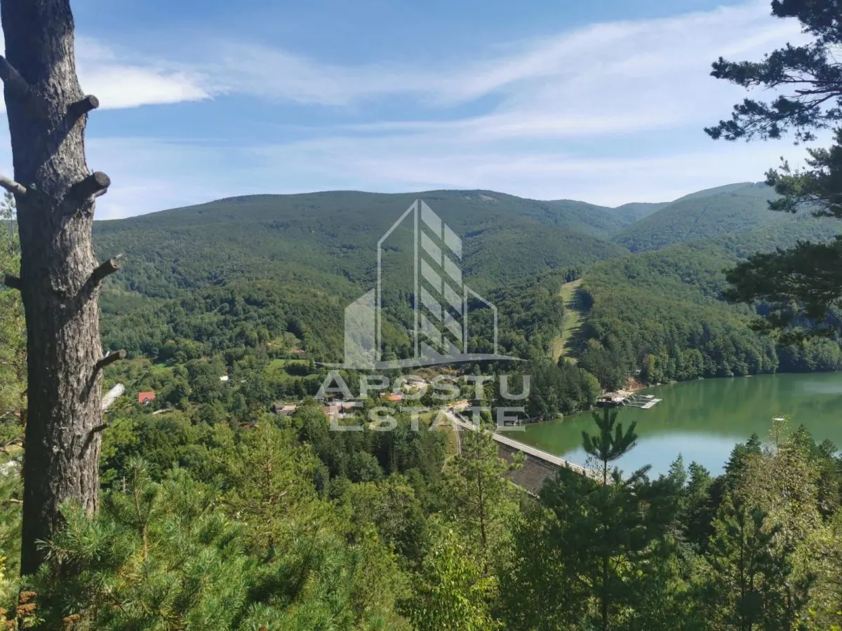 Teren intravilan, 2000mp, cu vedere panoramica spre lacul Valiug - foto 6