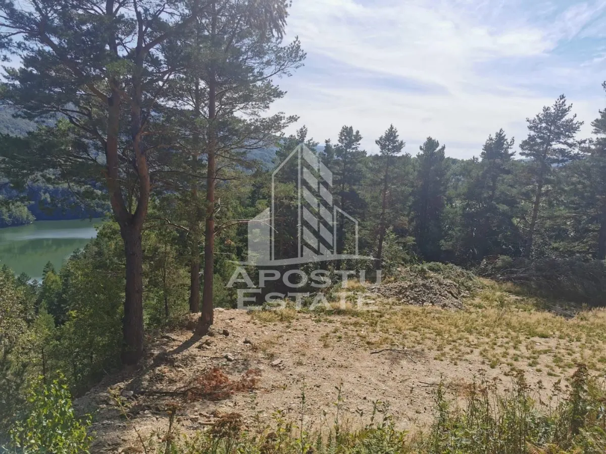 Teren intravilan, 2000mp, cu vedere panoramica spre lacul Valiug - foto 7