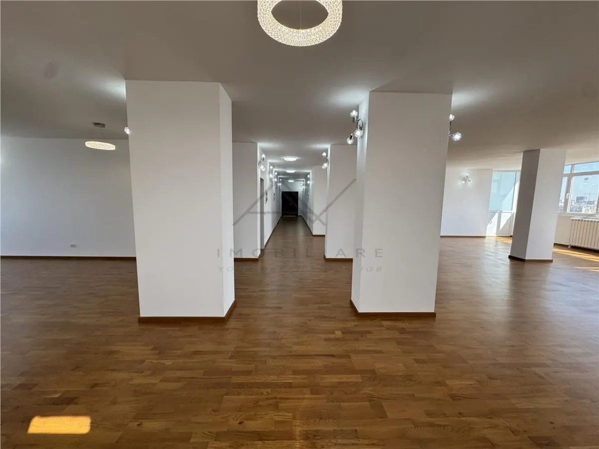 PENTHOUSE PARCUL CAROL | LIVING 100 mp | PRIMARIE SECTOR 5 - foto 16