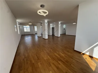 PENTHOUSE PARCUL CAROL | LIVING 100 mp | PRIMARIE SECTOR 5 - foto 3
