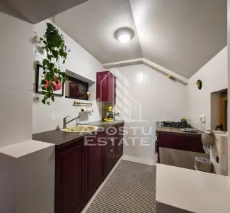Casa individuala de vanzare cu 11 camere, an 2000, Lipovei, Timisoara - foto 13