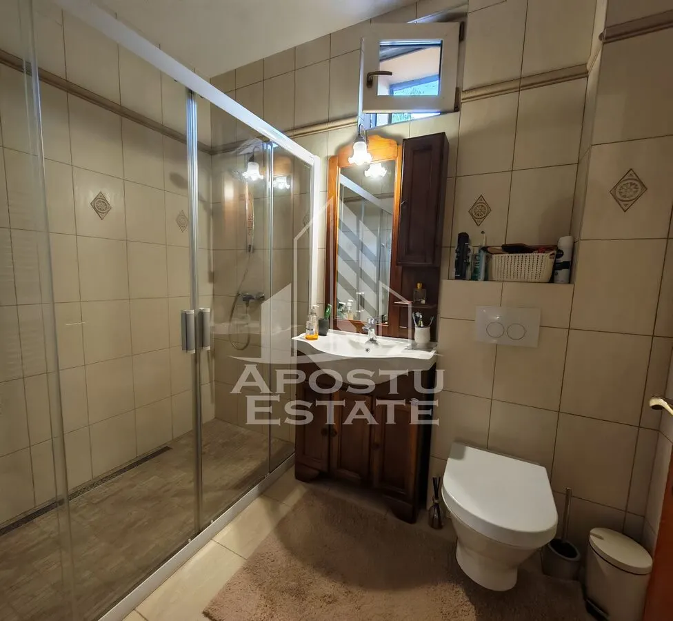 Casa individuala de vanzare cu 11 camere, an 2000, Lipovei, Timisoara - foto 24