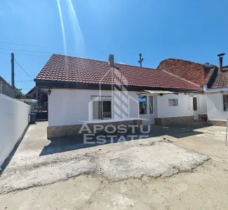 Casa individuala de vanzare, renovata, Sag, Timis - Sag