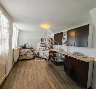 Casa individuala de vanzare, renovata, Sag, Timis - foto 2