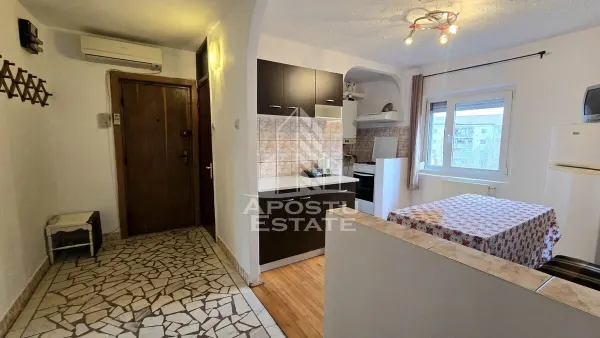 Apartament 2 camere Timișoara - poza 12