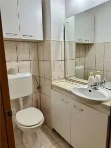 Apartament 3 camere Lipovei Spatios Complet mobilat si utilat - foto 10