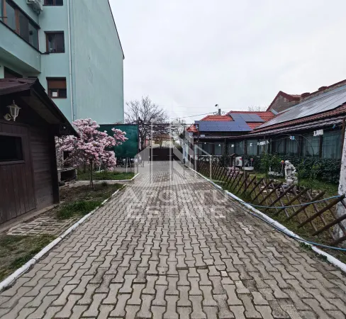 Casă 4 camere Timișoara - poza 6