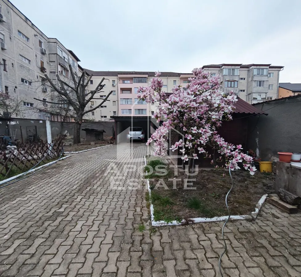 Casa individuala de vanzare, cu 4 camere si 2 garaje, zona Lipovei - foto 8