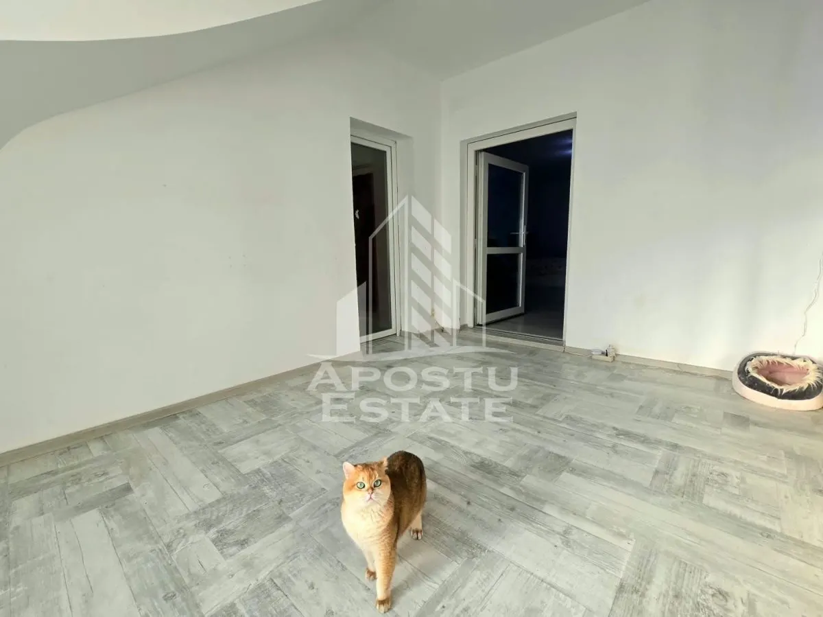Casa individuala de vanzare, vatra satului Sag, teren de 1.800 mp - foto 11
