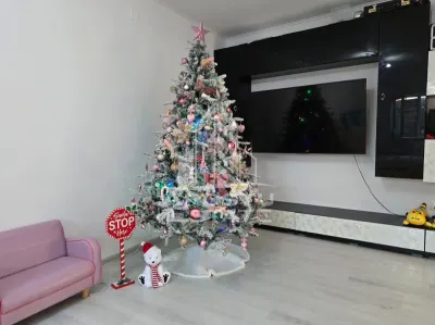 Casa individuala de vanzare, vatra satului Sag, teren de 1.800 mp - foto 23