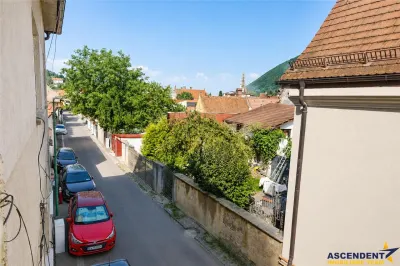 Resedinta luminoasa,farmec autentic,etaj 1, intimitate, acces facil, Piata Unirii.Centrul Istoric - foto 20