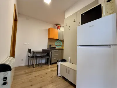 Apartament cu 1 camera de inchiriat, Sangeaorgiu de Mures - foto 6