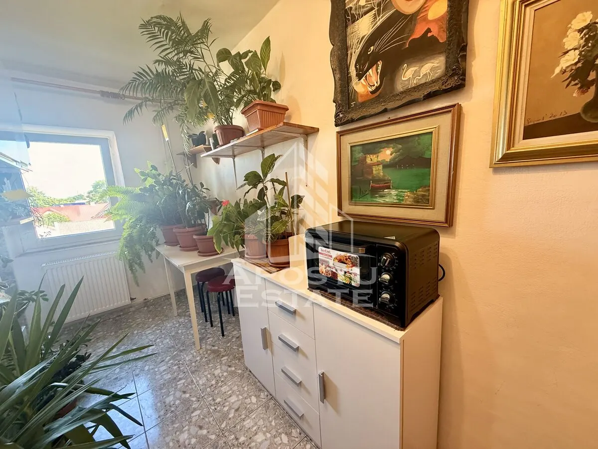 Apartament 1 camera de vanzare, zona Lunei, Timisoara - foto 7