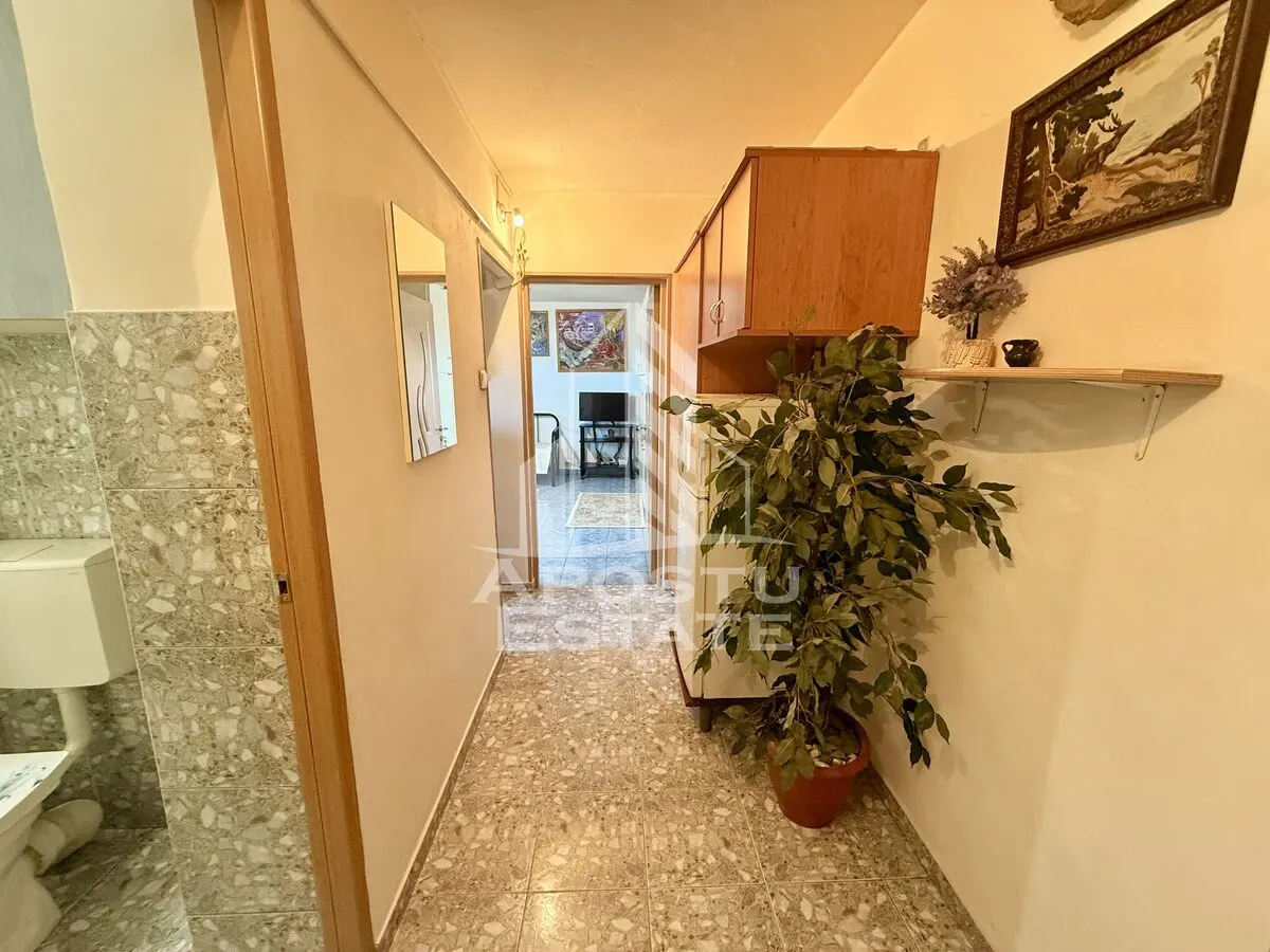 Apartament 1 camera de vanzare, zona Lunei, Timisoara - foto 10