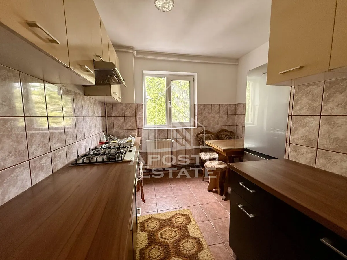 Apartament 3 camere de vanzare, zona Dacia, Timisoara - foto 12